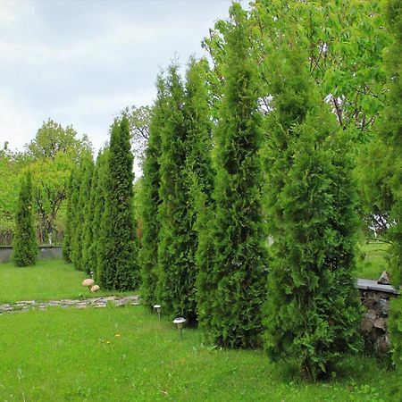 Aya Maria Wellness Spa Resort Dzoraghpʼyur Dış mekan fotoğraf