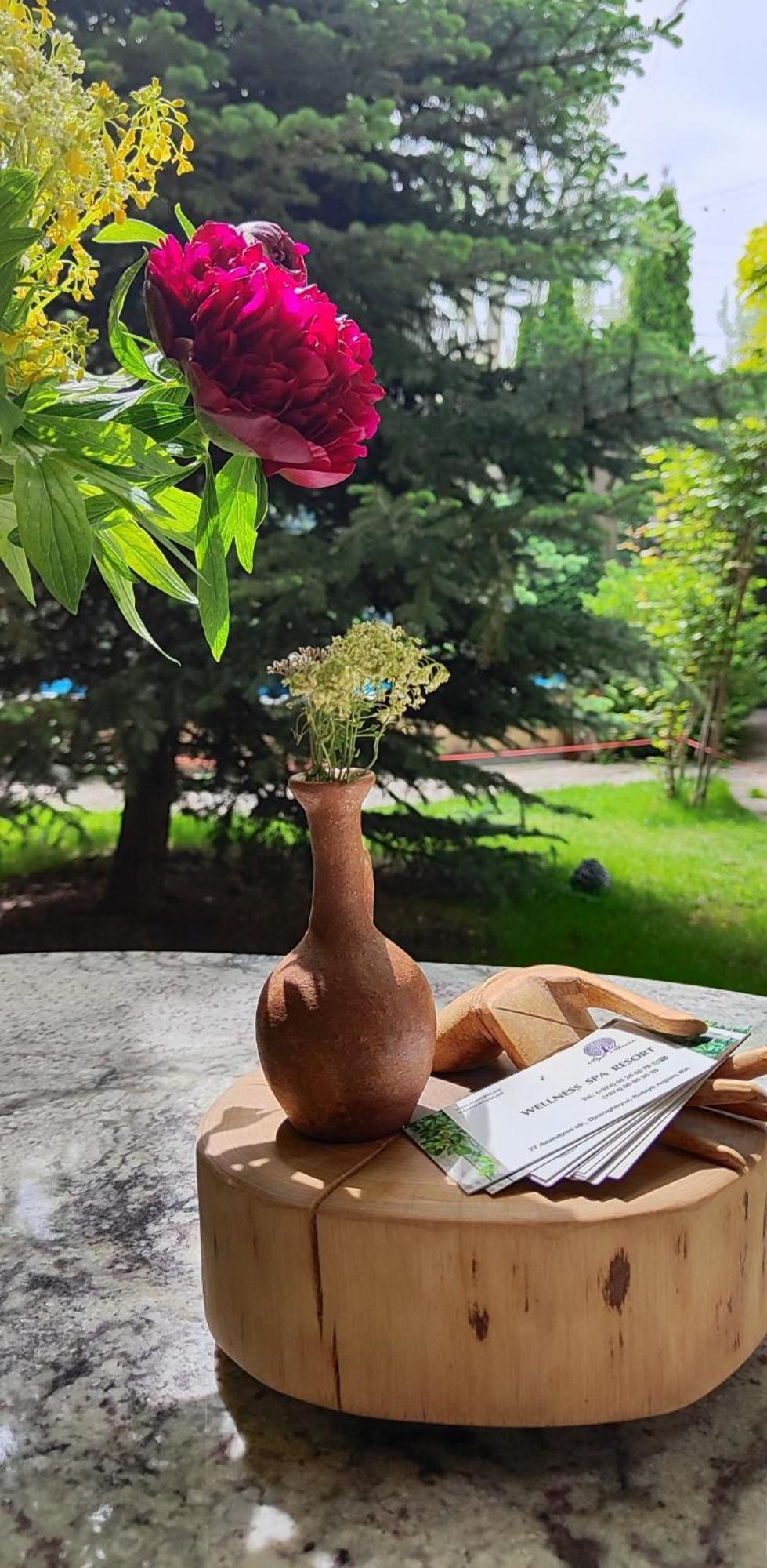 Aya Maria Wellness Spa Resort Dzoraghpʼyur Dış mekan fotoğraf