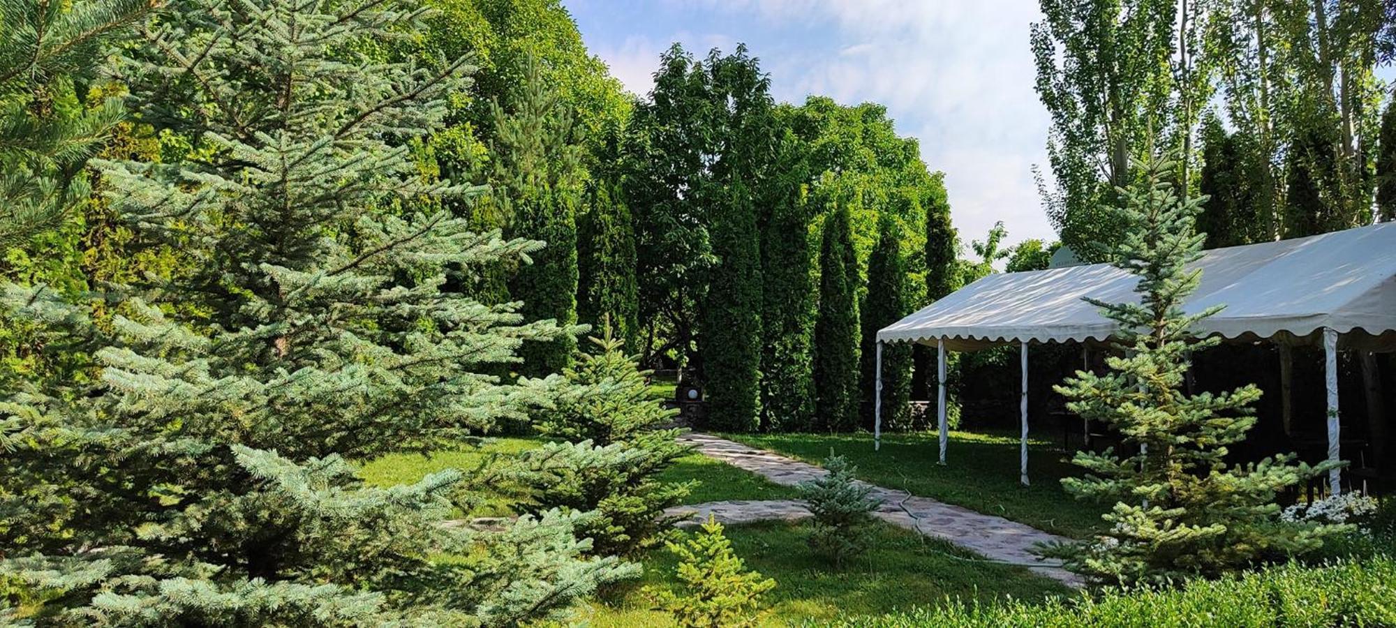 Aya Maria Wellness Spa Resort Dzoraghpʼyur Dış mekan fotoğraf