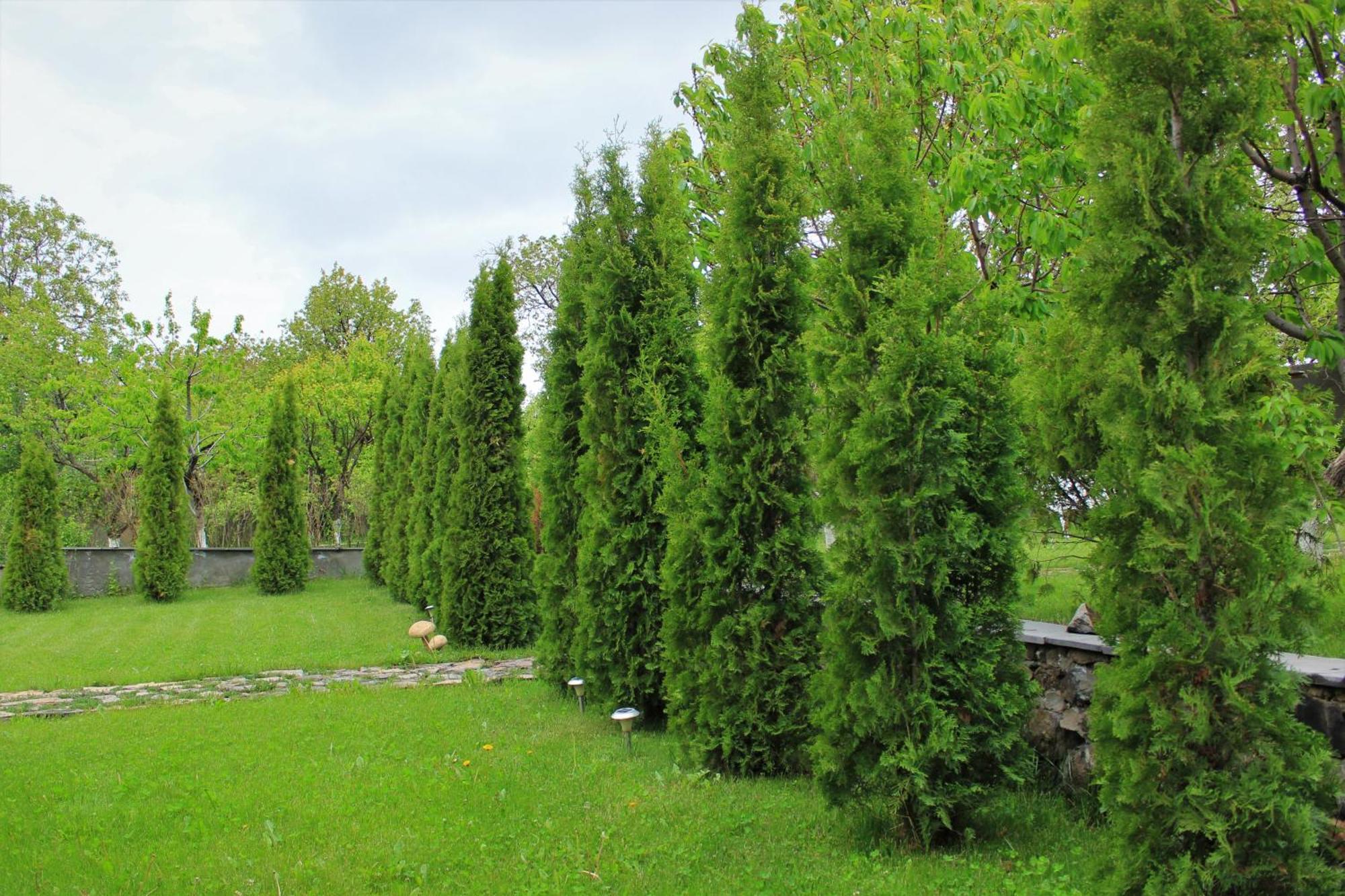 Aya Maria Wellness Spa Resort Dzoraghpʼyur Dış mekan fotoğraf